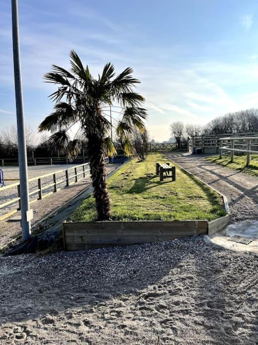 Haras De Connincthun Villa Beuvrequen Luaran gambar