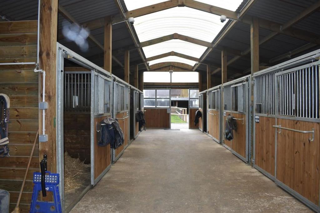 Haras De Connincthun Villa Beuvrequen Luaran gambar